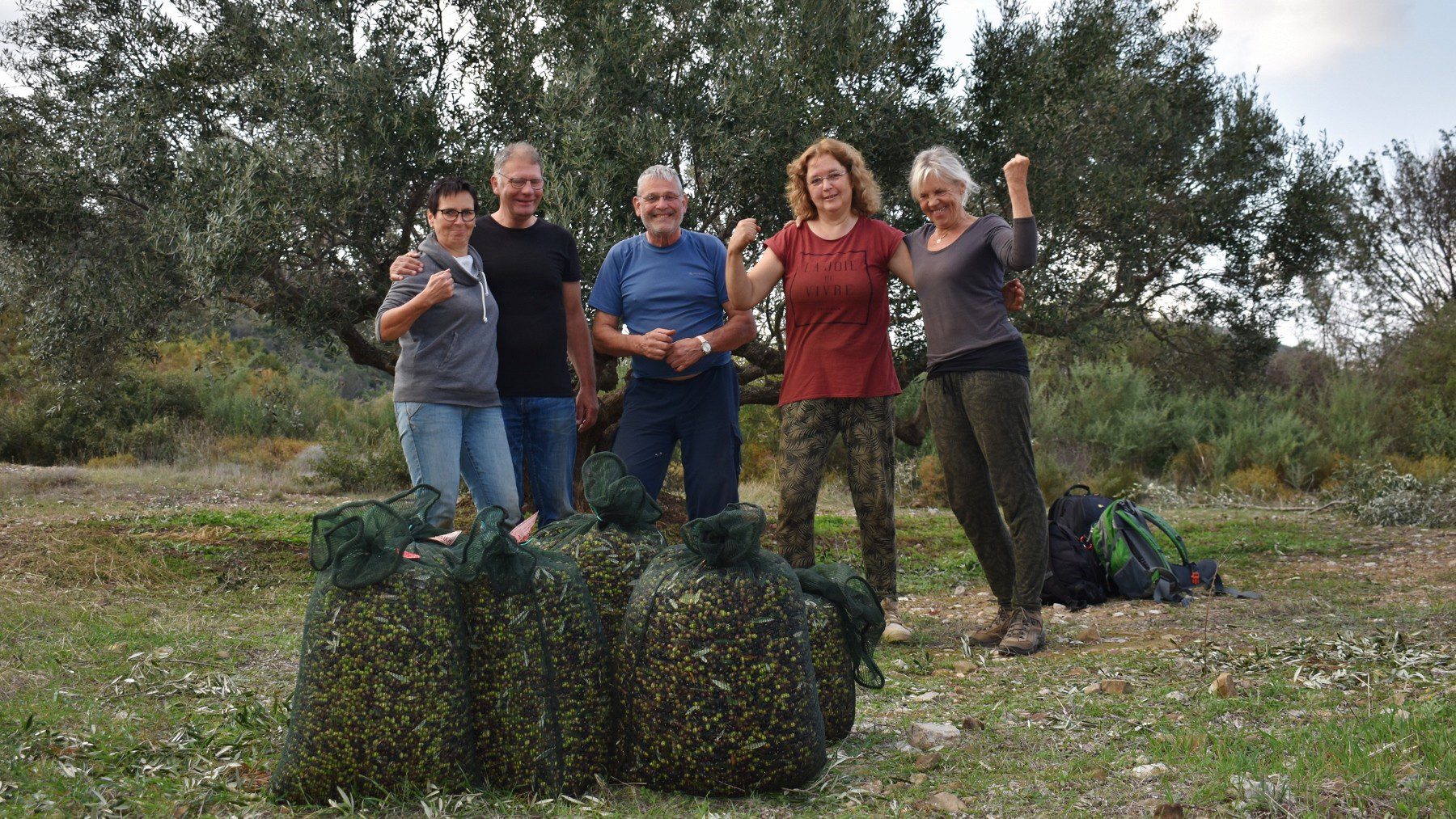 Olive picking on Kythera 3