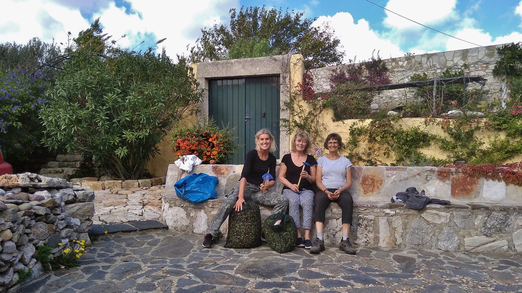 Olive picking on Kythera 2