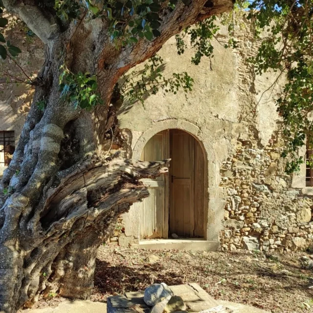 Fascinating ruin 🤩
#islandarchitecture #kythira #arches #archdoor #windows #courtyard #realestate #Kythera #kytheraproperties #atmosphere #olddays #greece #greekislands